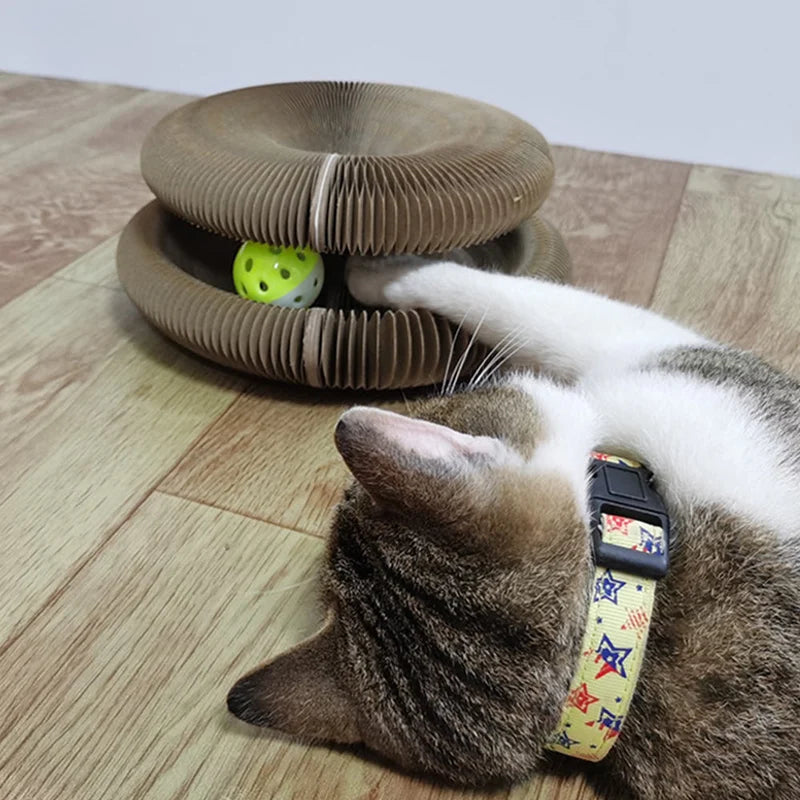 Magic Organ Cat Scratching Board--Comes with A Toy Bell Ball