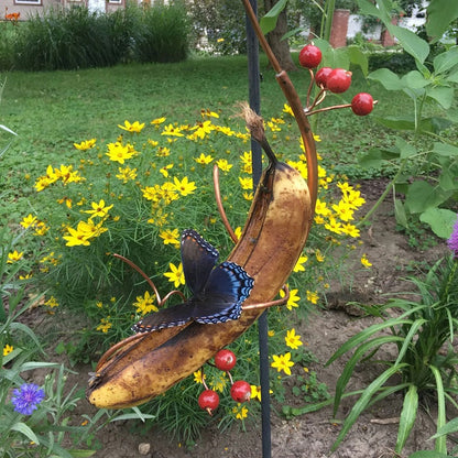 🦋Butterfly Banana Hammock - 🦋Butterfly Feeder