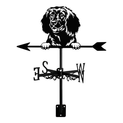 American Water Spaniel Dog Stainless Steel Weathervane MW067