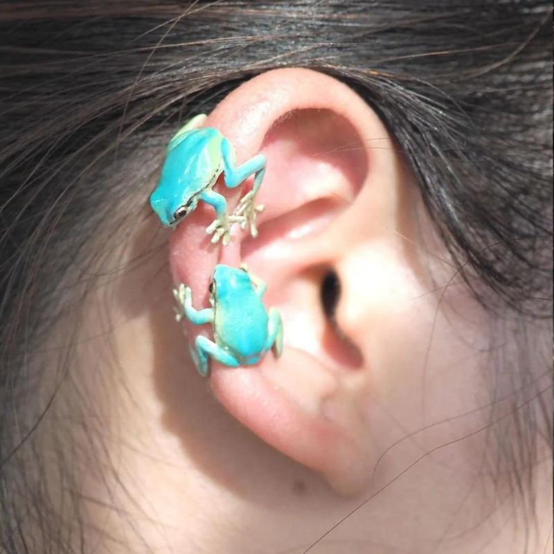 Keep the Forest Close - Tree Frog Ring & Earrings