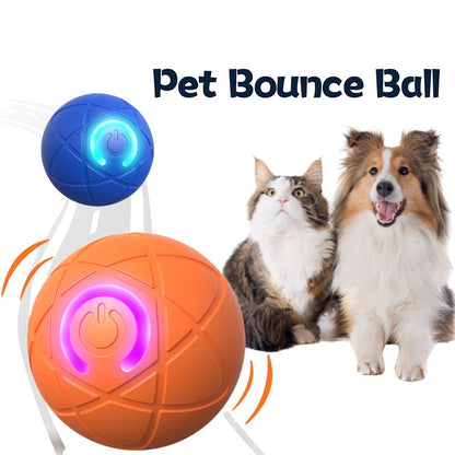 Pet Bounce Ball for Cats & Dogs