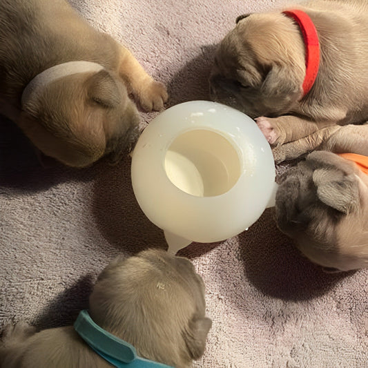 Nursing Milk Bowl