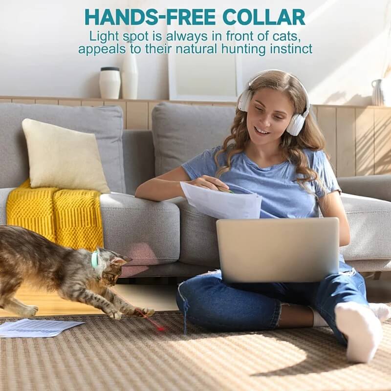 Electric Smart Amusing Collar for Kitten