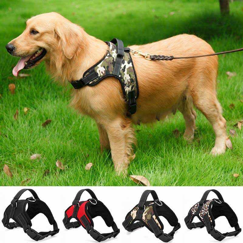 SALE ADJUSTABLE SAFETY DOG HARNESS