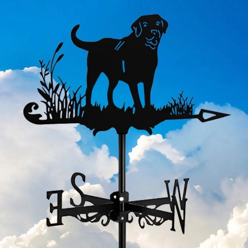 Labrador Stainless Steel Weathervane MW011