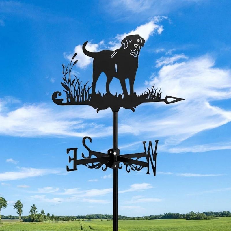 Labrador Stainless Steel Weathervane MW011