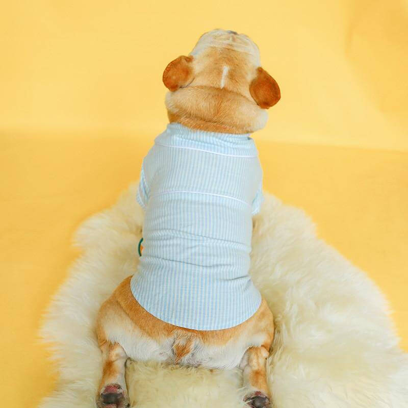 Luxury Dog Cozy Pajamas