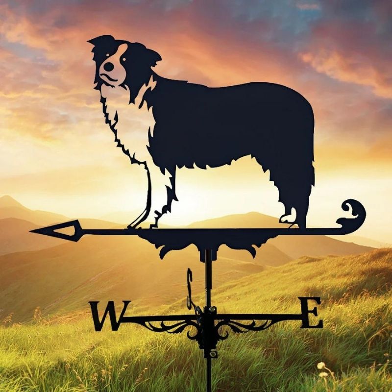 Border Collie Stainless Steel Weathervane MW012