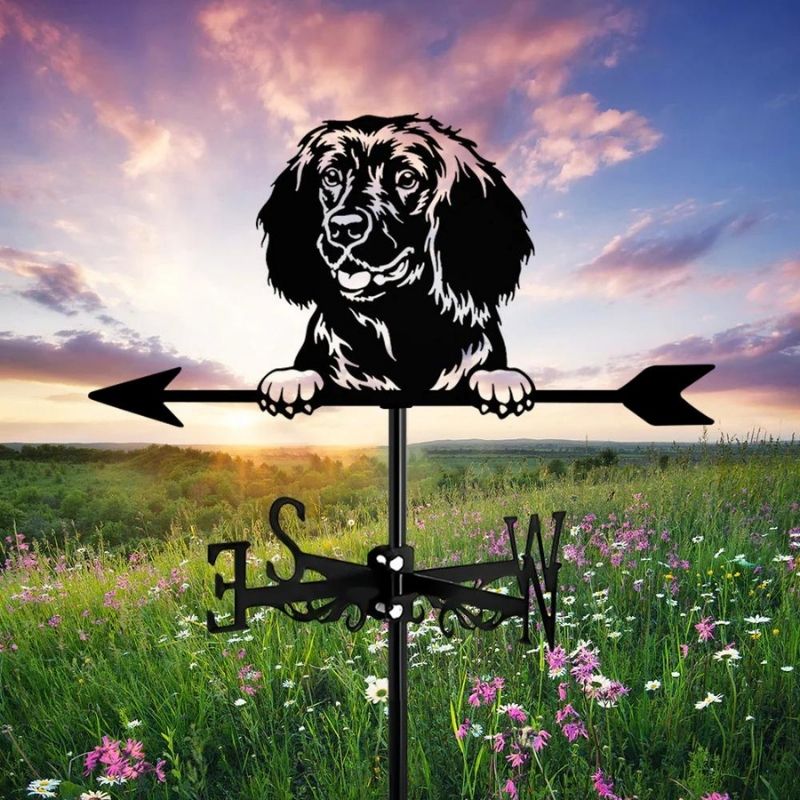 American Water Spaniel Dog Stainless Steel Weathervane MW067