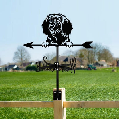 American Water Spaniel Dog Stainless Steel Weathervane MW067