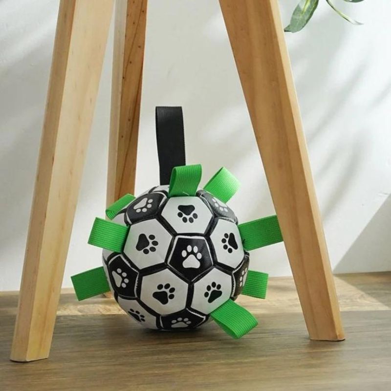 Interactive Football Dog Toy