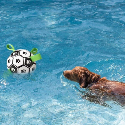 Interactive Football Dog Toy