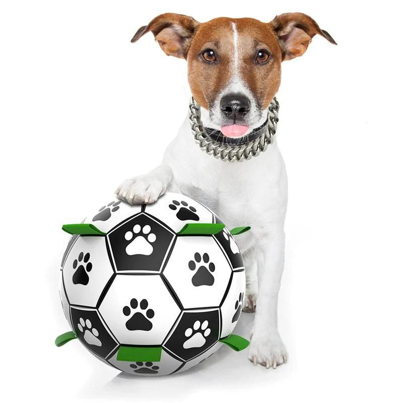 Interactive Football Dog Toy