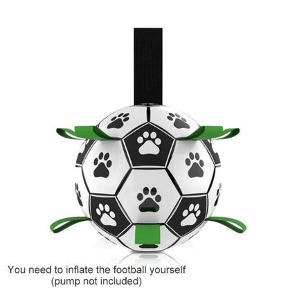 Interactive Football Dog Toy