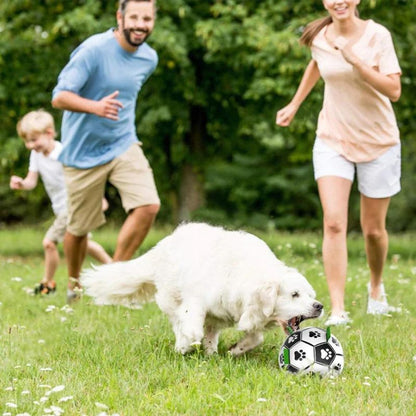 Interactive Football Dog Toy