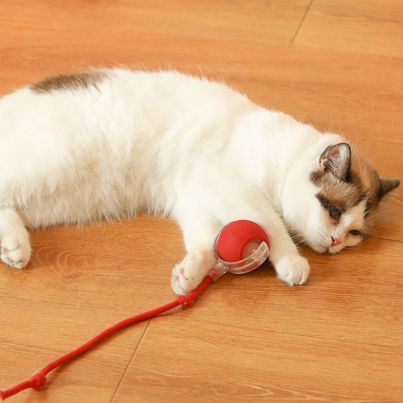 Smart Interactive Pet Toy Ball