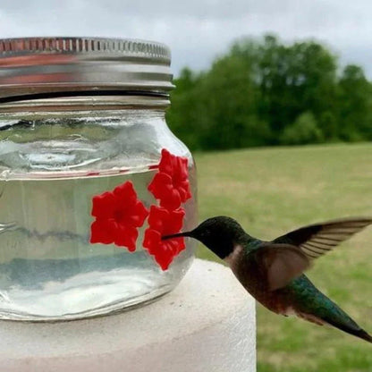 Beautiful Mason Jar Hummingbird Feeder with Three Ports