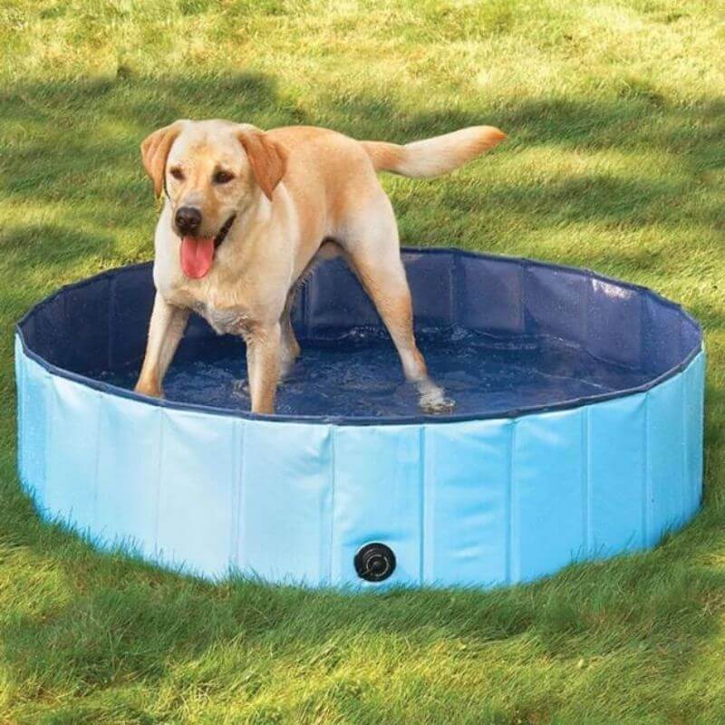 Portable Pool - Foldable Pet Bathing Pool