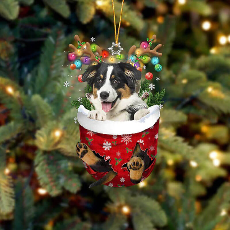 Australian Shepherd In Snow Pocket Christmas Ornament SP027